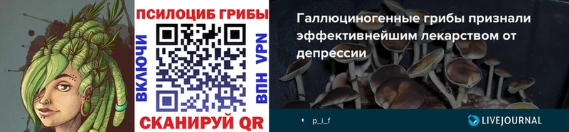 Галлюциногенные грибы Psilocybine cubensis  Каневская 
